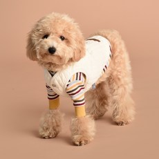 마이플러피 강아지옷 줄무늬 티셔츠 + 패딩 세트, 혼합색상