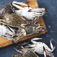 바다미식회 신진도 산지직송 산채로 포장한 가을 햇꽃게 (냉장), 2kg(6~9미), 1개