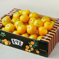 블랙홀 타이벡 재배 11brix 감귤, 1박스, 3kg(로열과)