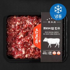 근본육 한우 1등급 다짐육 (냉동), 300g, 1개