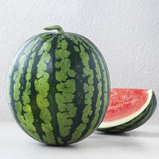 농협 당도선별 씨적은 수박, 7kg 미만, 1개