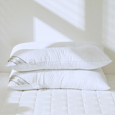 Lucidsleep 拉鍊型頸椎支撐聚酯棉枕芯, 2個, 白色