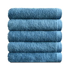 다이슨코랄블루