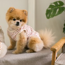 에이미러브즈펫 강아지 고양이 주름 조끼 잔꽃무늬, 레드, 1개