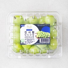 진시황 GAP 인증 비파괴당도선별 알알이 샤인머스켓, 1팩, 500g
