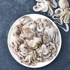 피시원 국내산 자연산 생물주꾸미 (냉장), 1kg(8~16미), 1박스