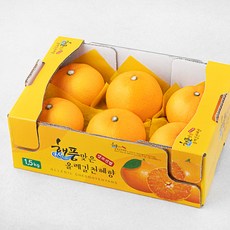 해풍맞은올레길 GAP 인증 고당도 13.5brix 천혜향, 1.5kg (중과,5~7입), 1개