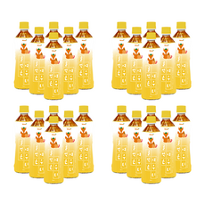 티트리트 귤먹은 여우티 페트, 24개, 500ml