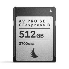 엔젤버드 AV PRO SE CFexpress 4.0 Type B 메모리카드, 1개, 512GB 1개, 512GB