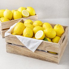 Sweetugly 칠레산 레몬, 15kg, 1개