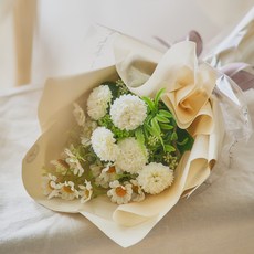 아스파시아 보고싶은마음 성묘 산소 꽃다발, 크림, 1개