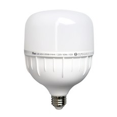 건식 GS LED 보안등 E26 고와트 삼파장 램프 40W, 주광색, 1개