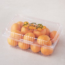 탐라황감 당도선별 10brix 감귤, 1.5kg(로열과), 1박스