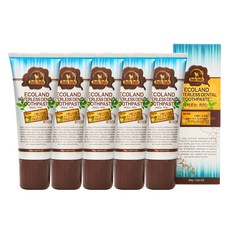 에코랜드모노레일