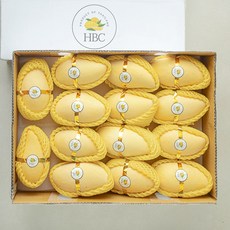 태국산 더네이처 망고 14~16과내, 1박스, 4.7kg