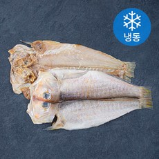 제주어부 용암해수 참옥돔 대 2미 (냉동), 450g, 1개