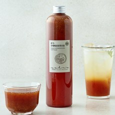 손스 수제 패션프루츠청, 1개, 600ml