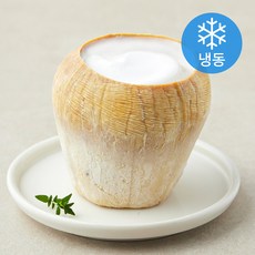 지엔씨푸드 코코넛 아이스, 170ml, 1개