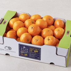 중문농협 당도선별 11brix 황금빛 감귤 대과, 2kg, 1박스