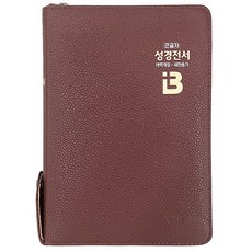 큰글자 성경전서 개역개정 새찬송가 중 NKR73SM (색인 / 초코), 성서원