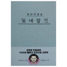 김소월진달래꽃