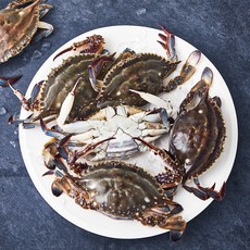 어부심 산지직송 서해안 제철 알배기 암꽃게 B급 (냉장), 1kg, 1개