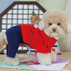 에이미러브즈펫 강아지 청담한복 남아, 레드, 1개