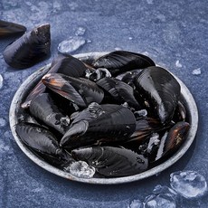산지직송 바다림 자연산 생물 담치 (냉장), 500g, 1개