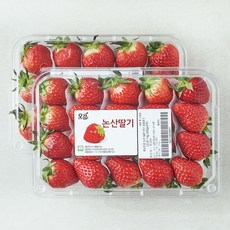 충남오감 논산 GAP 인증 한단 설향 딸기 대과, 500g, 2개