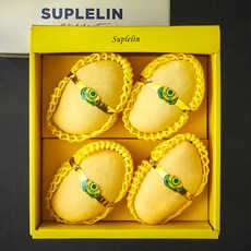 수플린 베트남산 망고 선물세트 4입, 1개, 1.7kg