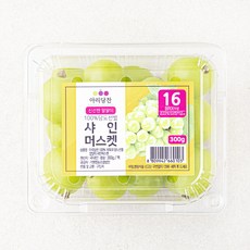포도 TOP01