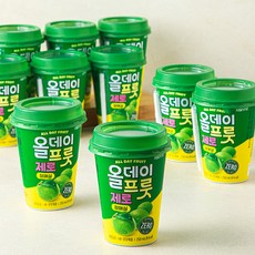 올데이프룻 서울우유 제로 청매실, 10개, 250ml