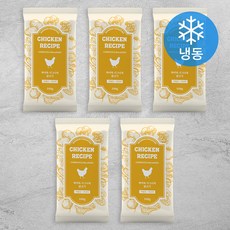 하이독 강아지 시그니처 화식 사료 (냉동), 닭고기, 100g, 5개