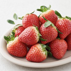 충남오감 무농약 인증 논산 친환경 한단 설향 딸기 대과, 500g, 1개