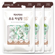 네츄럴랩 치카치카 우유 치실껌 SS 강아지 덴탈껌, 민트, 42g, 3개 - 노탄콜