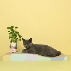 PETCA 고양이 스크래쳐 특대형 물결형, 혼합색상, 1개