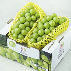 과일진심 샤인머스캣 청포도, 1개, 1.2kg
