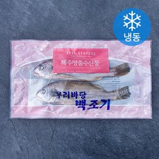 제주 백조기 2미 (냉동), 1개, 450g