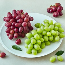 미국산 amc올프룻 씨없는 혼합포도, 1개, 1.5kg