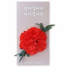 Scent Basket 父母節感謝康乃馨零用錢信封盒組, 紅色, 1個
