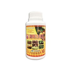 삼일치카치카액