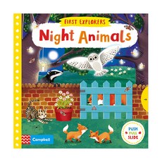 Night Animals : First Explorers, Macmillan Children's Books