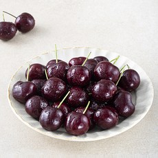 엠팍 캐나다산 체리, 300g, 1개