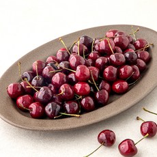 startree 미국산 체리, 1.5kg, 1개