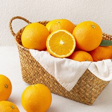 호주산 오렌지, 1봉, 3kg