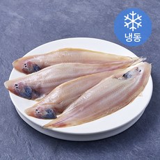 아라장 국내산 군산박대 (냉동), 1개, 520g(65g 내외 8미)