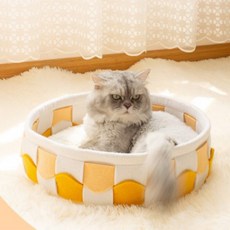 반려견양모펠트