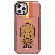 gigabytegc타이탄리지20확장카드