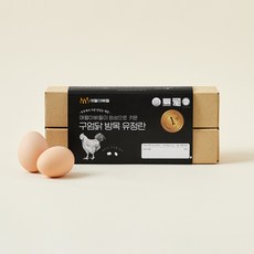 애월아빠들 무항생제 인증 구엄닭 방목 유정란 380g, 1개, 10구 1개, 10구