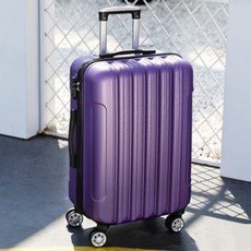 보라색캐리어